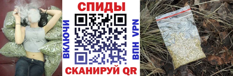 OMG зеркало  Новоалександровск  БУТИРАТ буратино 