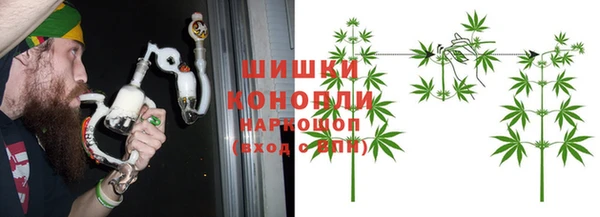 Альфа ПВП Белокуриха